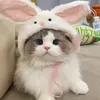 @Daisy_syshop