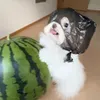 @7494970398778410026