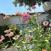 @7497506204005499934