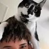 @Fabiandealz