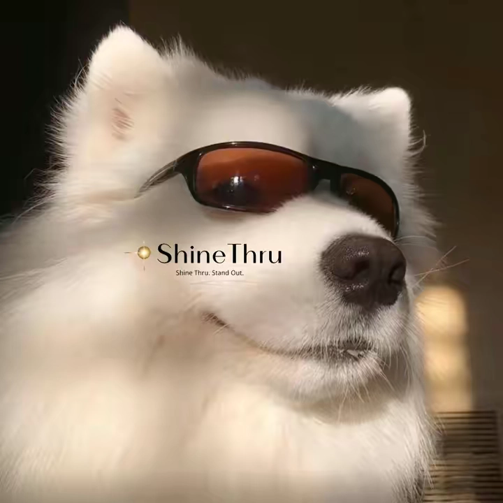@user8272453371676