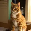 @7501608751916270638