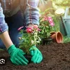 @7506467146599318574