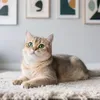 @7508691045662835758