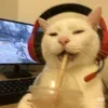 @7514216002396144686