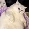 @7514769922871657514