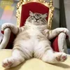 @7515498089441100843