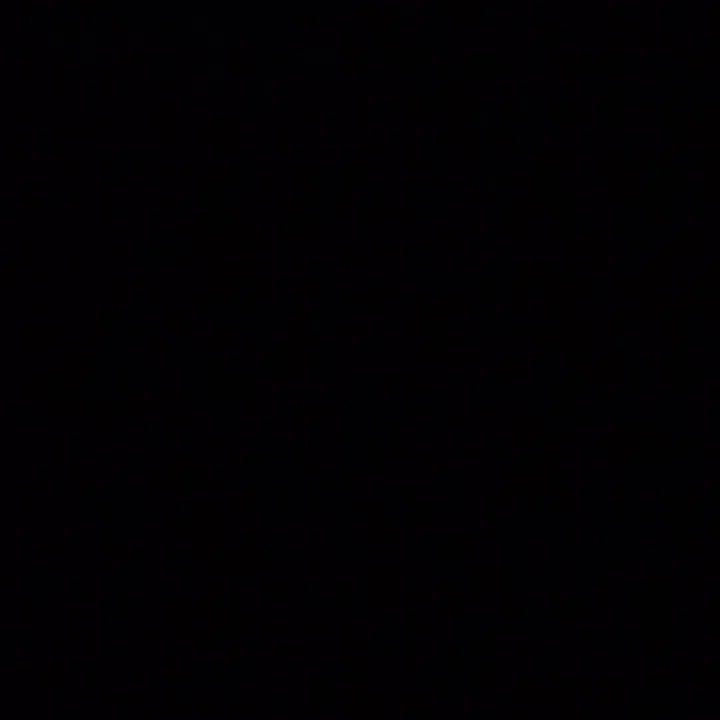 @dailyfindzhq