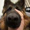 @bigger3837