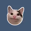 @7517857643713971255