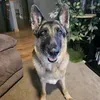 @7518935669672133645