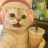 @7519805055890179085