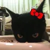 @7521260610211808269