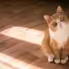 @cl2fzkbxie4