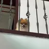 @smbgs.spokjx