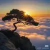 @7525321760267863095