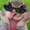 @7525541858660746271