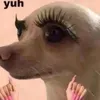 @7534631296804766750