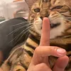 @7536410051993666574