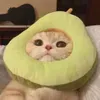 @7537242289309139999