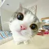 @7541717616312190007