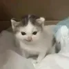 @7544681721649021966