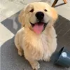 @besttech65