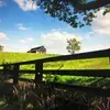 @7550212186368476174