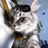@xmljxclb3tj