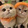 @Liamsoon3692