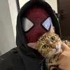 @bokuhufalkq
