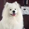 @mouuhmkz4p9