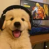 @mouhywtfnso