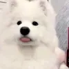 @mksodbcjsr2