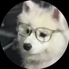 @pet_funnyvideo