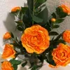 @7557209712099853326