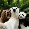 @OnlyRichael449