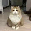 @koijkxmlg0p