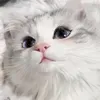 @oppjhowfbjo