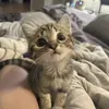 @7559757234089477134