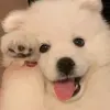 @7559761469896082446
