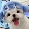 @usebsodvh4v