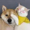 @rwimeidmbxd