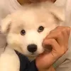 @ggvdvpnv8wc