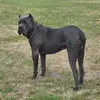 @7565625385674163213