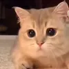 @7569142155168711693