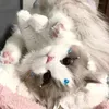 @7571396144279913485