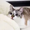@Catie.findz