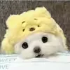 @xzitzlgyoumis6v
