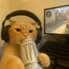 @7580180994456880183